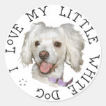 I Love My Little White Dog Poodle / Bichon Mix Stickers