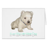 I Love My Little White Dog - Westie Puppy Cards