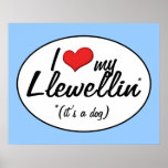 I Love My Llewellin (It's a Dog) Print