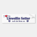 I Love My Llewellin Setter (Female Dog) Bumper Stickers