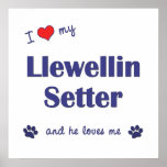 I Love My Llewellin Setter (Male Dog) Poster