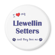 I Love My Llewellin Setters (Multiple Dogs) magnets by thatsalottadogs I Love My Llewellin Setters (Multiple Dogs) magnets