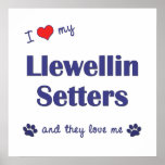 I Love My Llewellin Setters (Multiple Dogs) Poster