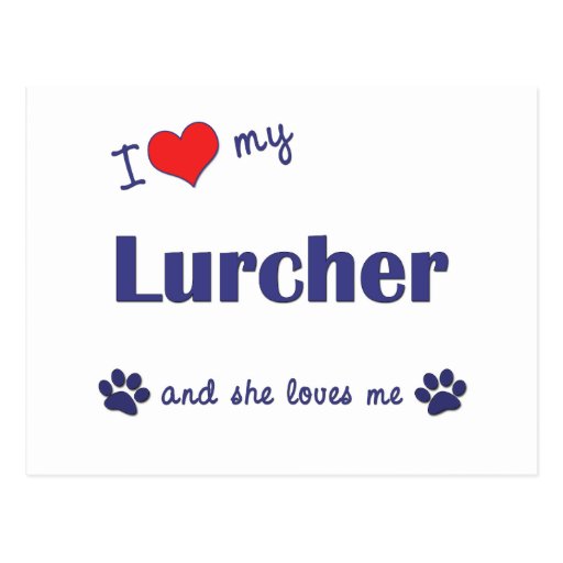 I Love My Lurcher (Female Dog) Postcard