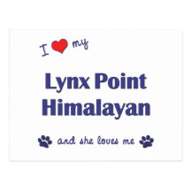 I Love My Lynx Point Himalayan (Female Cat) Post Cards