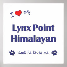 I Love My Lynx Point Himalayan (Male Cat) Posters