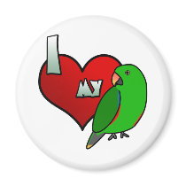 I Love my Male Vosmaeri Eclectus Magnet