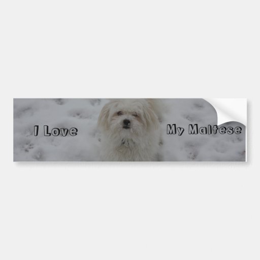 I Love, My Maltese Bumper Sticker