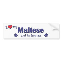 I Love My Maltese (Male Dog) Bumper Sticker