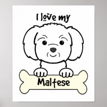 I Love My Maltese Posters