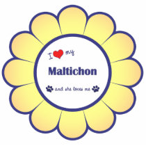 I Love My Maltichon (Female Dog) Cut Out