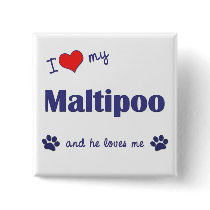 I Love My Maltipoo (Male Dog) Button