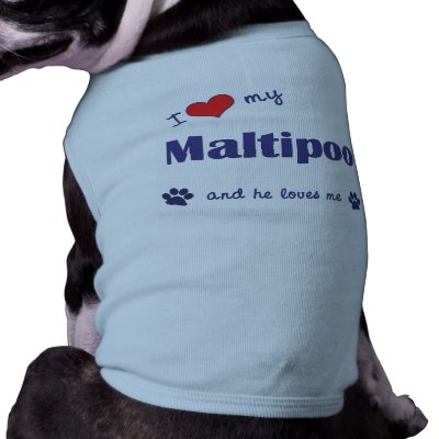 I Love My Maltipoo (Male Dog) Doggie Tee by dogadoodle