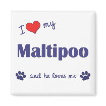 I Love My Maltipoo (Male Dog) Refrigerator Magnets