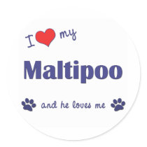 I Love My Maltipoo (Male Dog) Stickers