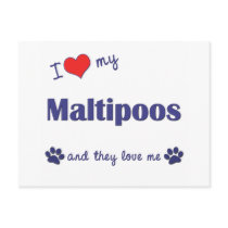 I Love My Maltipoos (Multiple Dogs) Post Cards