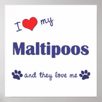 I Love My Maltipoos (Multiple Dogs) Poster Print