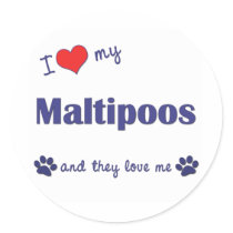 I Love My Maltipoos (Multiple Dogs) Round Stickers