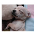 I Love My Mama posters by OzarkNomad I Love My Mama posters