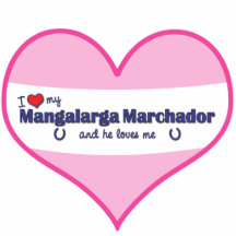 I Love My Mangalarga Marchador (Male Horse) Acrylic Cut Outs