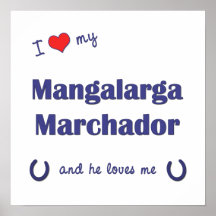 I Love My Mangalarga Marchador (Male Horse) Poster