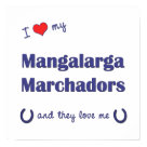postcard - Show the world how much you love your Mangalarga Marchador horses (and that the feeling is mutual!). With a heart and two horseshoes, the words read 'I love my Mangalarga Marchadors and they love me'. This design is specifically for multiple horses (they), we also have variants available for a male horse (he) or female horse (she). A perfect gift for yourself or the Mangalarga Marchador lover in your life, this design is available on a variety of gift and apparel items!