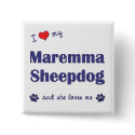 I Love My Maremma Sheepdog (Female Dog) buttons by thatsalottadogs I Love My Maremma Sheepdog (Female Dog) buttons