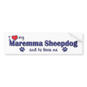 I Love My Maremma Sheepdog (Male Dog) bumper stickers by thatsalottadogs I Love My Maremma Sheepdog (Male Dog) bumper stickers