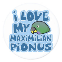 I Love My Maximilian Pionus Stickers
