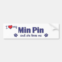 I Love My Min Pin (Female Dog) Bumper Sticker