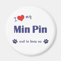 I Love My Min Pin (Male Dog) Magnet