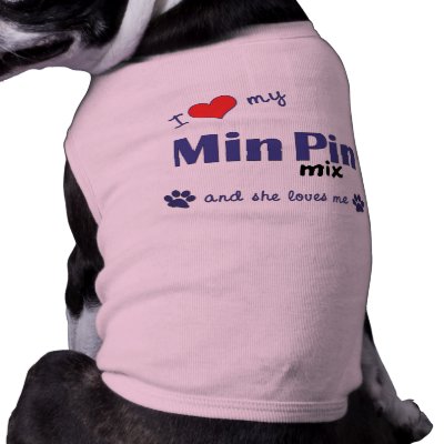 Min Pin Mix