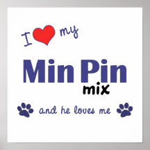 I Love My Min Pin Mix (Male Dog) Poster Print