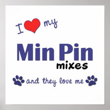 I Love My Min Pin Mixes (Multi Dogs) Poster Print