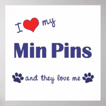 I Love My Min Pins (Multiple Dogs) Posters