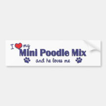 I Love My Mini Poodle Mix (Male Dog) Bumper Stickers