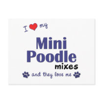 I Love My Mini Poodle Mixes (Multiple Dogs) postcards