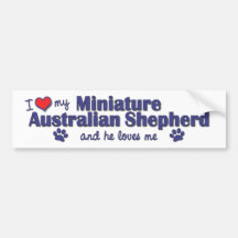 I Love My Miniature Australian Shepherd (Male Dog) Bumper Stickers