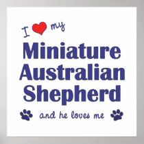 I Love My Miniature Australian Shepherd (Male Dog) Posters