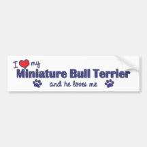 I Love My Miniature Bull Terrier (Male Dog) Bumper Sticker