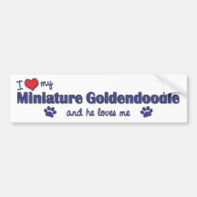 I Love My Miniature Goldendoodle (Male Dog) Bumper Sticker