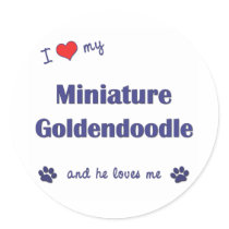 I Love My Miniature Goldendoodle (Male Dog) Round Stickers