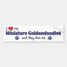 I Love My Miniature Goldendoodles (Multiple Dogs) Bumper Sticker