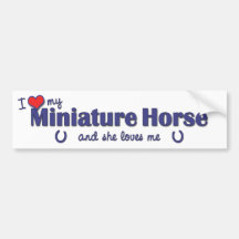 I Love My Miniature Horse (Female Horse) Bumper Stickers