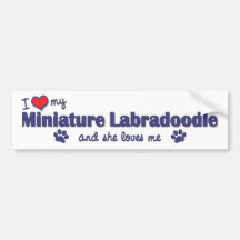 I Love My Miniature Labradoodle (Female Dog) Bumper Stickers