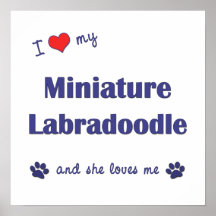 I Love My Miniature Labradoodle (Female Dog) Posters