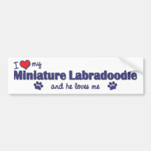 I Love My Miniature Labradoodle (Male Dog) Bumper Stickers