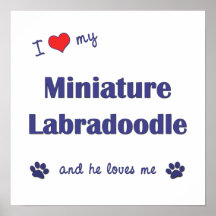 I Love My Miniature Labradoodle (Male Dog) Print