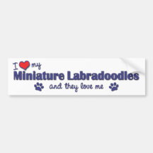 I Love My Miniature Labradoodles (Multiple Dogs) Bumper Stickers