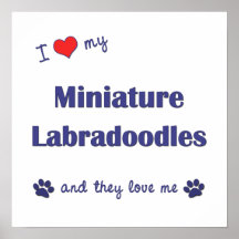 I Love My Miniature Labradoodles (Multiple Dogs) Print